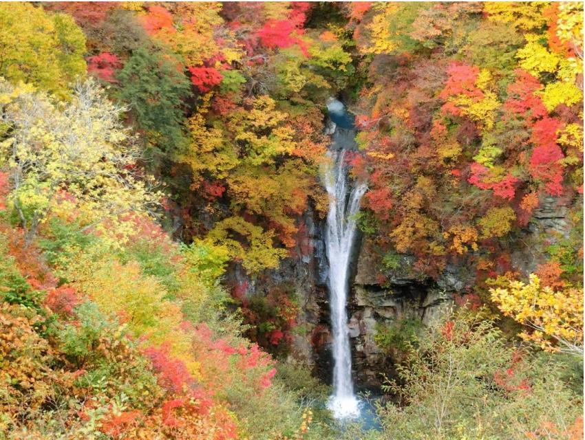 那須町 ヴィンテージ那須ヴィラ エクステリア 写真