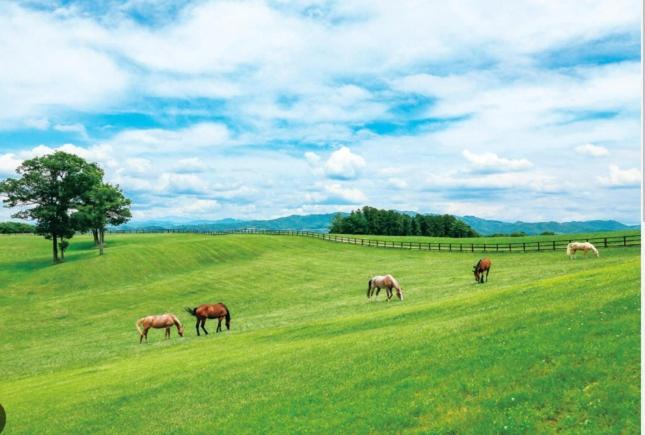 那須町 ヴィンテージ那須ヴィラ エクステリア 写真